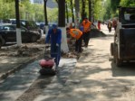 Amenajare spatii verzi langa trotuare - Sos. Colentina, Bucuresti